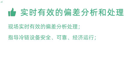 實(shí)時(shí)有效的偏差分析和處理：實(shí)時(shí)有效的偏差處理； 指導(dǎo)冷鏈設(shè)備安全、可靠、經(jīng)濟(jì)運(yùn)行；